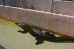 2010-06 Florida